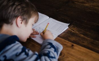 Photo Student studying