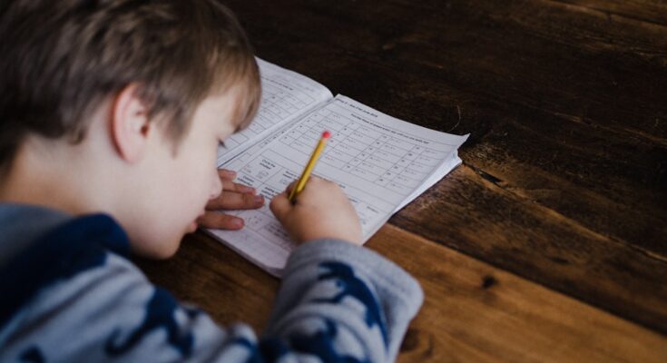 Photo Student studying